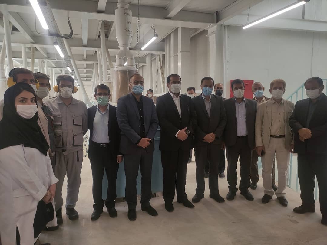 سازمان تامین اجتماعی از تولید و بهبود فضای کسب و کار حمایت می کند