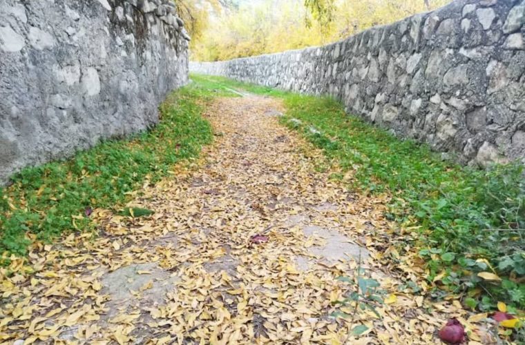 تجربه پاییزگردی با جاذبه های متنوع در کهگیلویه و بویراحمد