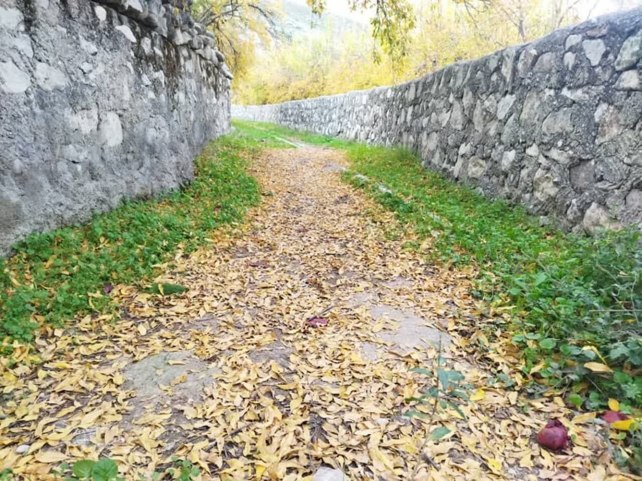 چشم نوازی پاییز در روستای باستانی دیل گچساران