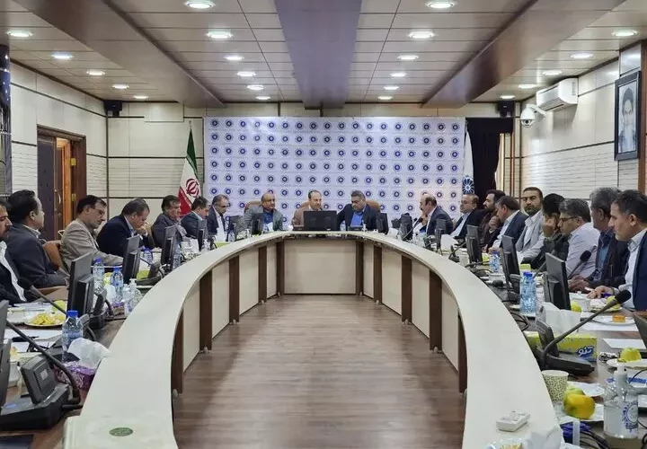 طرح مطالعاتی توسعه و آسیب شناسی ارزش زنجیره شیلات استان آغاز شد طرح مطالعاتی توسعه و آسیب شناسی ارزش زنجیره شیلات استان آغاز شد