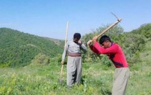 کهگیلویه وبویراحمد کمبود جنگل بان دارد