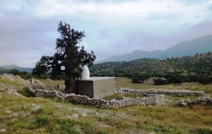 سرو ۲۷۰۰ ساله باشت؛ جلوه ای از تاریخ کهن ایران