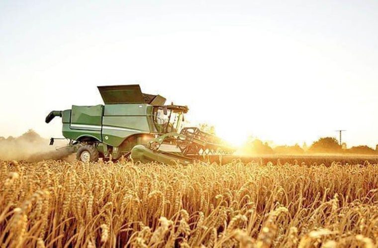 نگرانی های کشاورزان کهگیلویه و بویراحمد در آستانه فصل برداشت + پاسخ مسوولان