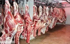 واردات گوشت گرم از ۱۰ کشور به ایران/ کمبود ۱۰۰ هزار تا ۱۵۰ هزار تن گوشت قرمز واردات گوشت گرم از ۱۰ کشور به ایران/ کمبود ۱۰۰ هزار تا ۱۵۰ هزار تن گوشت قرمز