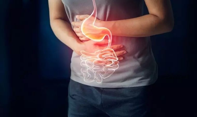 افزایش سرطان گوارش در ایران / رئیس جامعه پزشکان متخصص داخلی: با توجه به شرایط اقتصادی و به دلیل تغذیه نادرست آمار مبتلایان بیشتر شده