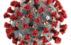 سیا: نشت آزمایشگاهی در چین احتمالا منشا کرونا بوده است