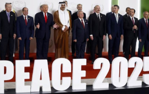 سخنگوی دولت درمورد عدم شرکت در اجلاس شرم‌الشیخ: فقط دولت تصمیم‌گیر نیست؛ جمع‌بندی، این بود