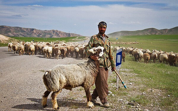 ۱۲۶ میلیارد ریال اعتبار به حوزه عشایر کهگیلویه و بویراحمد اختصاص یافت ۱۲۶ میلیارد ریال اعتبار به حوزه عشایر کهگیلویه و بویراحمد اختصاص یافت