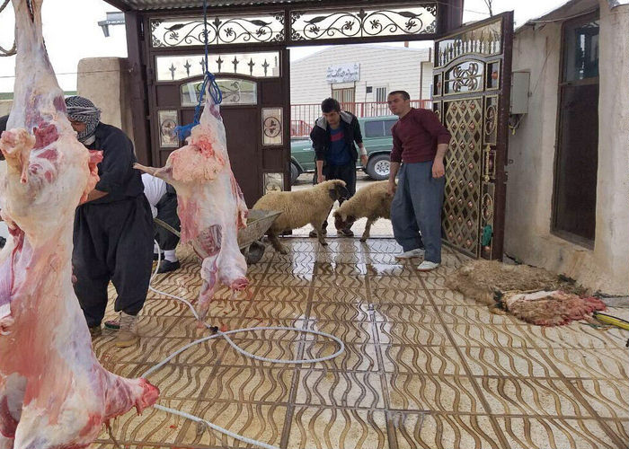 خطر شیوع بیماری در کهگیلویه و بویراحمد با عرضه محصولات دامی غیرمجاز