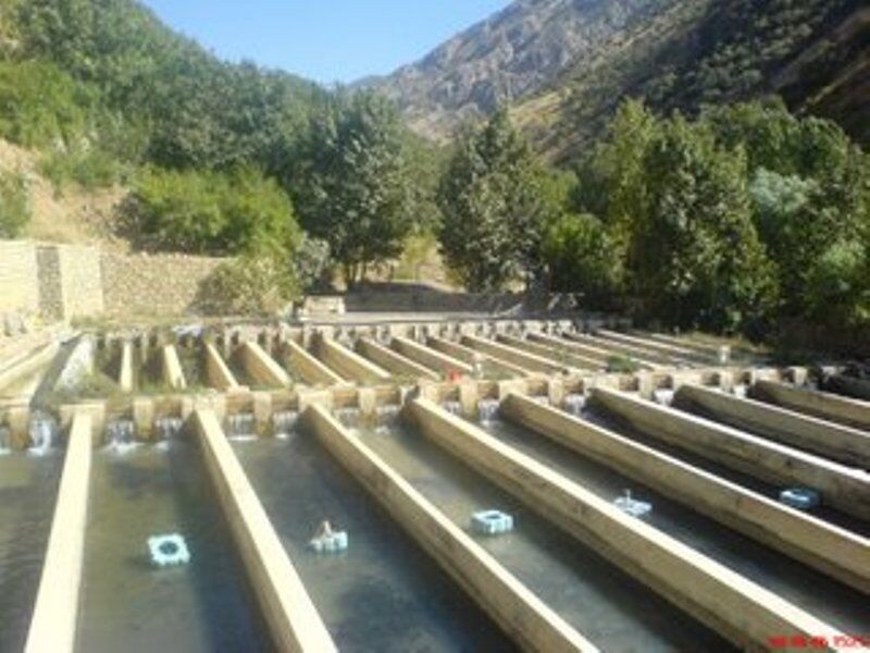 تحول در شیلات کهگیلویه و بویراحمد با مکانیزه شدن مزارع پرورش ماهی