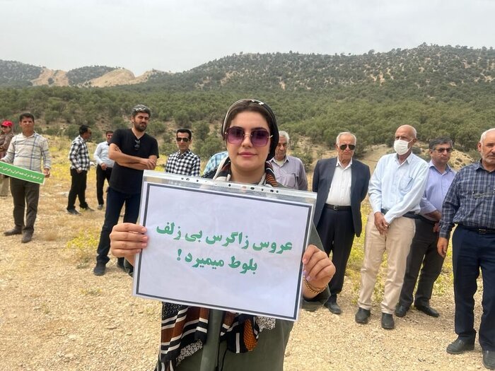 طبیعت دوستان کهگیلویه و بویراحمدی برای حمایت از بلوط های زاگرس همدل شدند