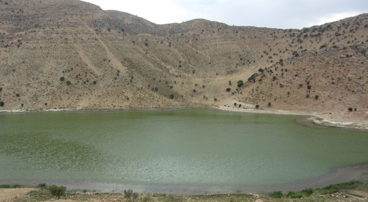 مهاجرت پرندگان آسیایی به کهگیلویه و بویراحمد و فرصت «پرنده نگری»