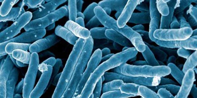 این علائم مرگبار را جدی بگیرید! این علائم مرگبار را جدی بگیرید!