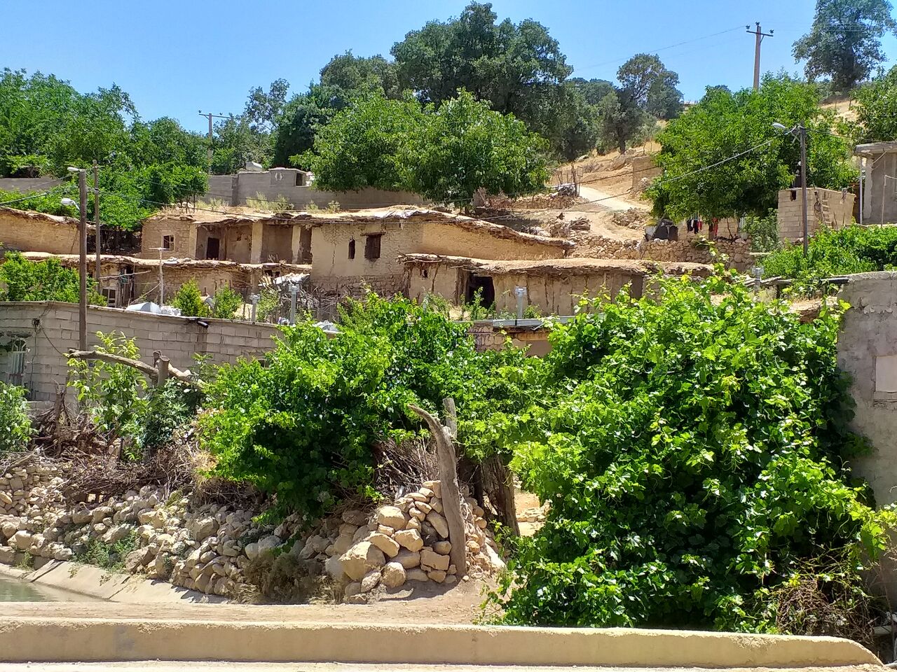 برنامه های دولت برای رونق دومین رکن اقتصاد کهگیلویه و بویراحمد چیست؟