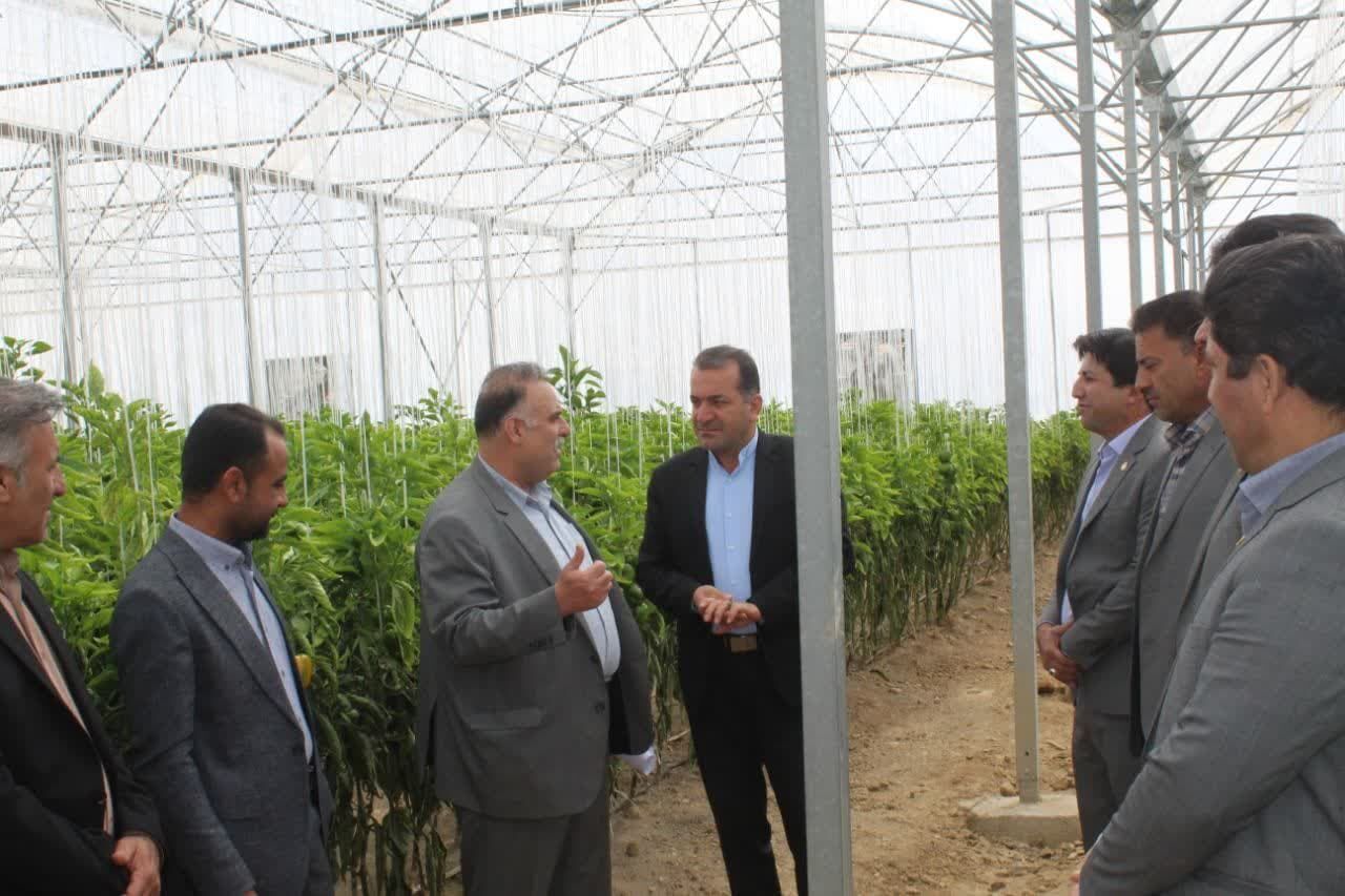 جرایم و سود تسهیلات ۵۷۲۰ کشاورز کهگیلویه و بویراحمد بخشیده شد جرایم و سود تسهیلات ۵۷۲۰ کشاورز کهگیلویه و بویراحمد بخشیده شد