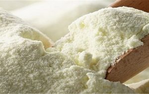 تولید شیرخشک در کشور افزایش می‌یابد