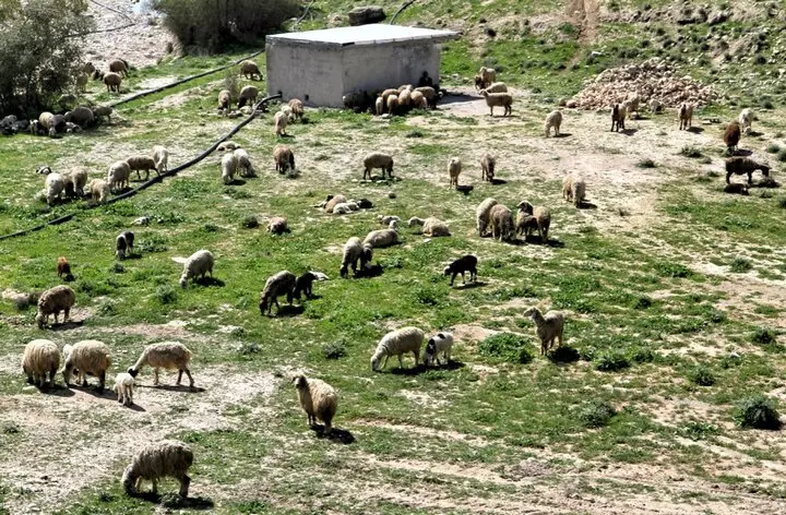 گردشگری عشایری در کهگیلویه و بویراحمد رونق می گیرد