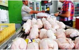 عرضه مرغ بالاتر از ۸۰ هزار تومان گرانفروشی است
