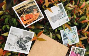 بهترین لابراتوار چاپ عکس در تهران