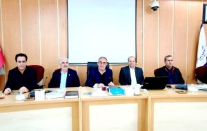 تفویض اختیارات به استانداران در هشت سر فصل انجام می شود