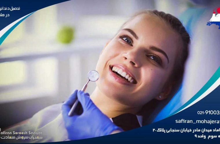 تحصیل دندانپزشکی در هلند برای ایرانیان: راهنمای جامع
