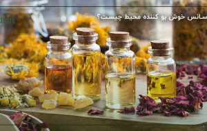 اسانسهای طبیعی و درمانی؛ راهی ساده برای افزایش آرامش و تندرستی اسانسهای طبیعی و درمانی؛ راهی ساده برای افزایش آرامش و تندرستی