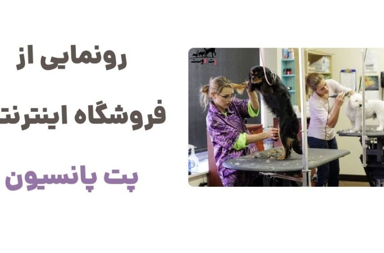 رونمایی از وبسایت پت پانسیون، فروشگاه اینترنتی پت شاپ رونمایی از وبسایت پت پانسیون، فروشگاه اینترنتی پت شاپ