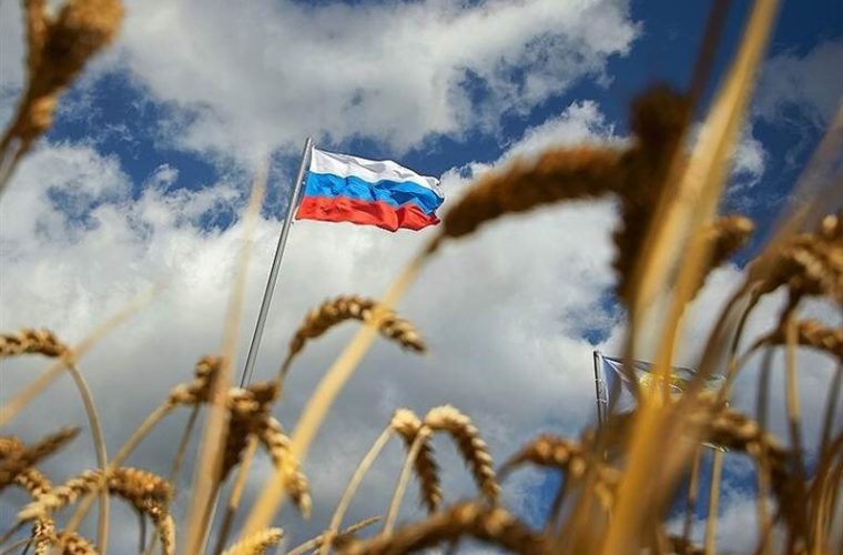 معاون وزیر کشاورزی: از روسیه گندم خریده‌ایم؛ محموله در راه ایران است