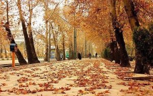 هواشناسی: کشور تا ۲۵ آبان بدون بارش خواهد بود هواشناسی: کشور تا ۲۵ آبان بدون بارش خواهد بود