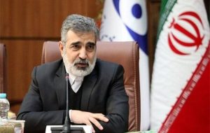 کمالوندی: پروتکل ساخت راکتورهای کوچک با روسیه در حال نهایی‌شدن است