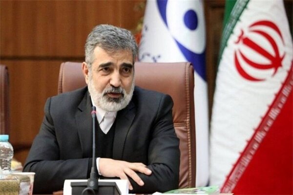 کمالوندی: پروتکل ساخت راکتورهای کوچک با روسیه در حال نهایی‌شدن است